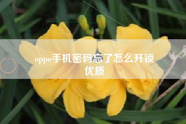 oppo手机密码忘了怎么开锁
优质  第125张