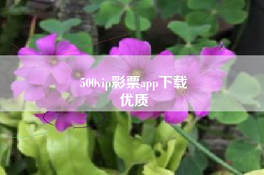 500vip彩票app下载
优质  第133张