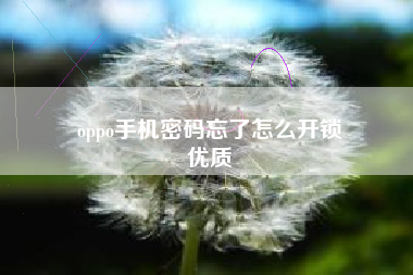 oppo手机密码忘了怎么开锁
优质  第124张