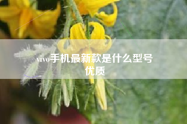 vivo手机最新款是什么型号
优质  第66张