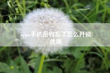 oppo手机密码忘了怎么开锁
优质  第123张