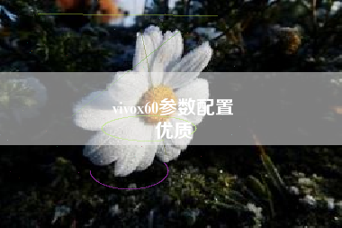 vivox60参数配置
优质  第97张