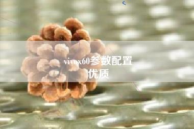 vivox60参数配置
优质  第96张