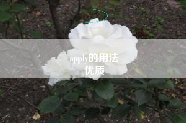 apply的用法
优质  第100张