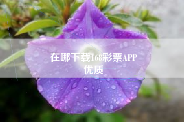 在哪下载168彩票APP
优质  第142张