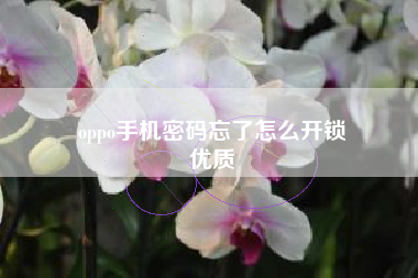 oppo手机密码忘了怎么开锁
优质  第121张