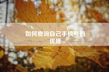 如何查询自己手机号码
优质  第101张