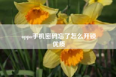 oppo手机密码忘了怎么开锁
优质  第120张