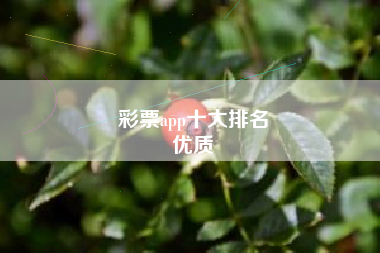 彩票app十大排名
优质  第121张