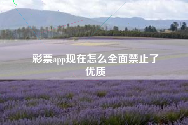 彩票app现在怎么全面禁止了
优质  第94张