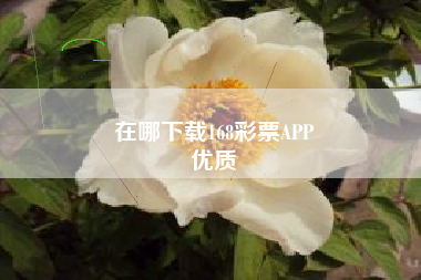 在哪下载168彩票APP
优质  第137张