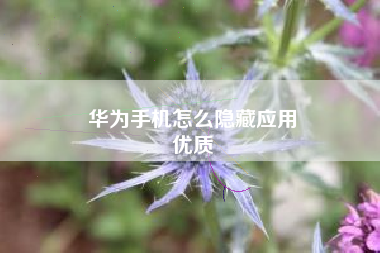 华为手机怎么隐藏应用
优质  第97张