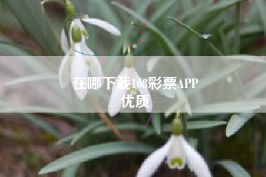 在哪下载168彩票APP
优质  第136张