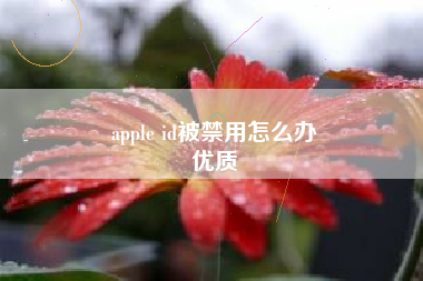 apple id被禁用怎么办
优质  第76张