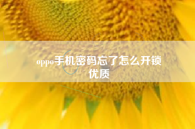 oppo手机密码忘了怎么开锁
优质  第118张