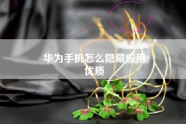 华为手机怎么隐藏应用
优质  第96张