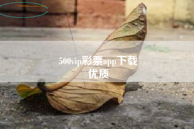 500vip彩票app下载
优质  第130张