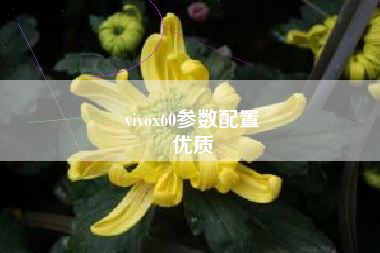 vivox60参数配置
优质  第94张