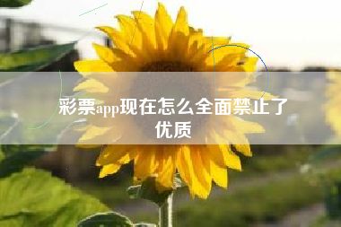 彩票app现在怎么全面禁止了
优质  第91张