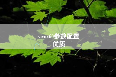 vivox60参数配置
优质  第93张