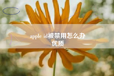 apple id被禁用怎么办
优质  第74张