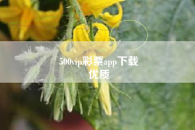 500vip彩票app下载
优质  第129张