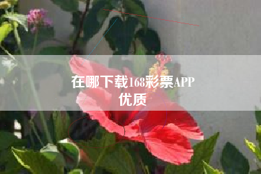 在哪下载168彩票APP
优质  第133张