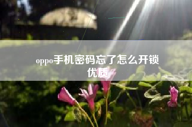 oppo手机密码忘了怎么开锁
优质  第117张