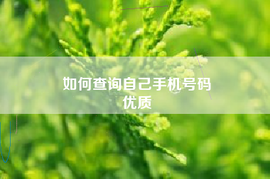 如何查询自己手机号码
优质  第99张