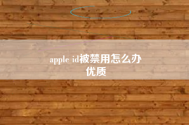 apple id被禁用怎么办
优质  第73张