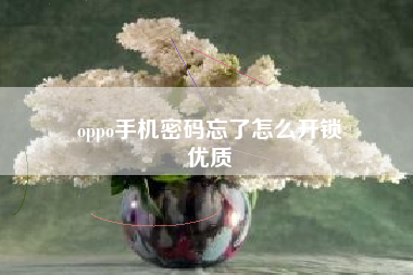 oppo手机密码忘了怎么开锁
优质  第116张