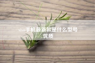 vivo手机最新款是什么型号
优质  第64张