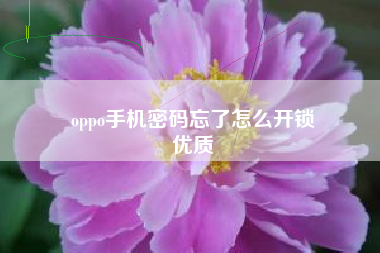 oppo手机密码忘了怎么开锁
优质  第114张