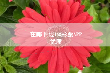 在哪下载168彩票APP
优质  第131张