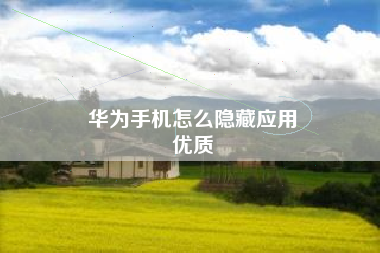 华为手机怎么隐藏应用
优质  第91张