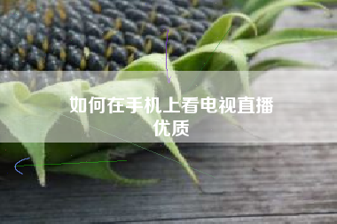 如何在手机上看电视直播
优质  第94张