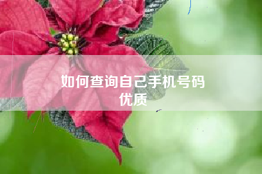 如何查询自己手机号码
优质  第96张