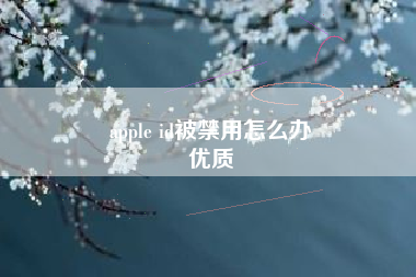 apple id被禁用怎么办
优质  第71张