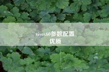 vivox60参数配置
优质  第90张