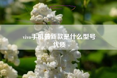 vivo手机最新款是什么型号
优质  第61张