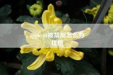 apple id被禁用怎么办
优质  第70张