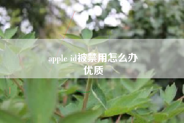 apple id被禁用怎么办
优质  第69张