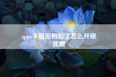 oppo手机密码忘了怎么开锁
优质  第112张