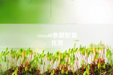 vivox60参数配置
优质  第88张