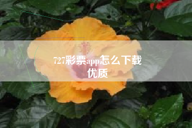 727彩票app怎么下载
优质  第78张