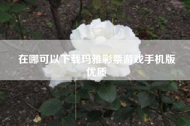 在哪可以下载玛雅彩票游戏手机版
优质  第73张