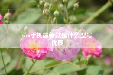 vivo手机最新款是什么型号
优质  第59张