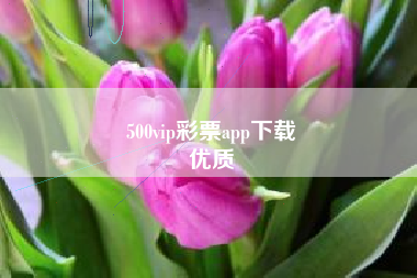 500vip彩票app下载
优质  第122张