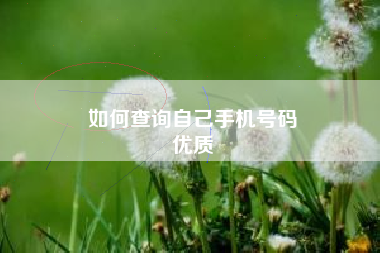 如何查询自己手机号码
优质  第92张