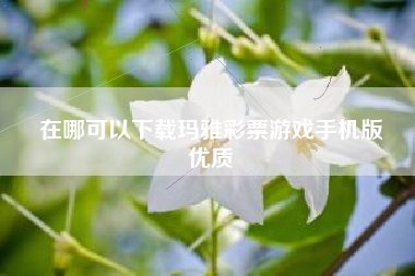 在哪可以下载玛雅彩票游戏手机版
优质  第70张